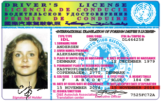 idl driving license